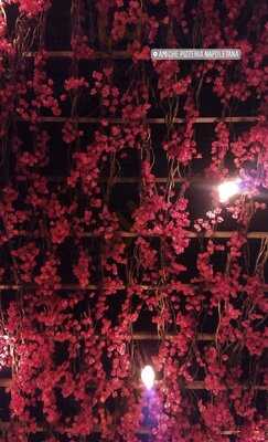 Amiche Pizzaria Napoletana