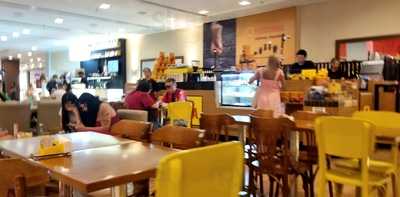 Havanna Café Sjcampos