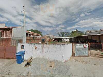 Butiquinho Do Pedrao