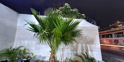 Sgt Pepper's Steak House