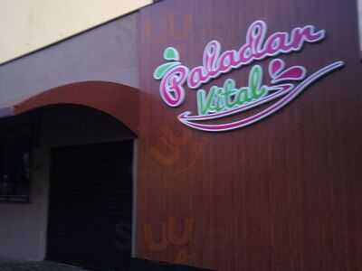 Paladar Vital