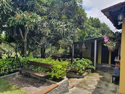 Restaurante A Tapera