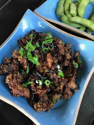 Sushi Terra Laranjeiras