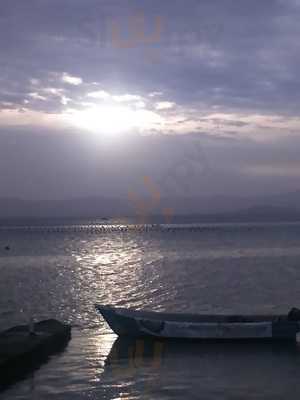Bar E Restaurante Ostra Da Ilha