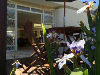 Flor De Anis Gastronomia Vegetariana & Eventos