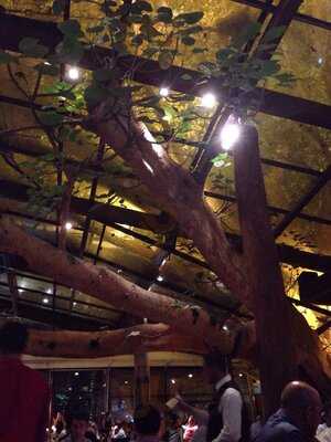 Bar E Lanches Nova Figueira