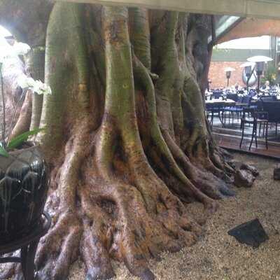 Bar E Lanches Nova Figueira