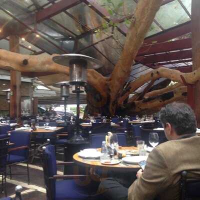 Bar E Lanches Nova Figueira