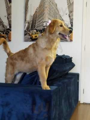 Primos Bar & Lanchonete