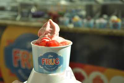 Frug Frozen Yogurt