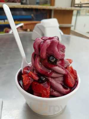 Frug Frozen Yogurt