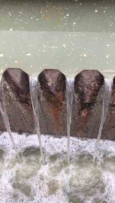 Churrascaria Mate Amargo Ltda