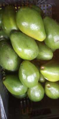 Churrascaria Mate Amargo Ltda