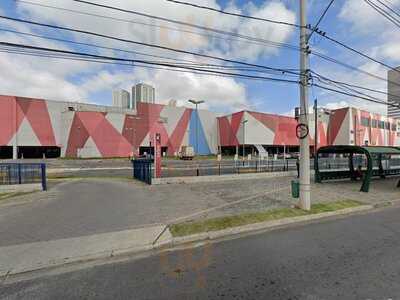 Premium Chocolates Sjcampos