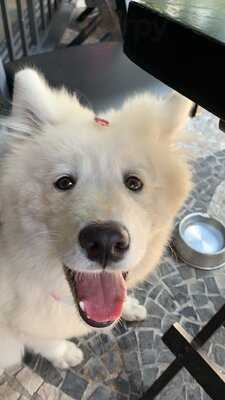 São Conrado Bar - Pinheiros