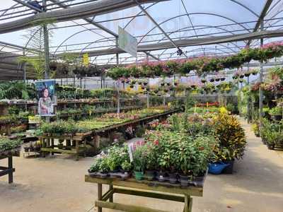 Emporio Inconfidencia