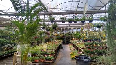 Emporio Inconfidencia