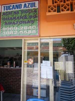 Tucano Azul - Naturais