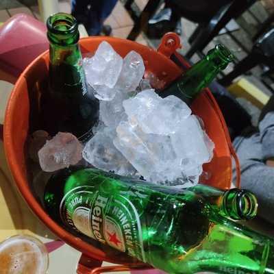 Terra Nova Espetaria