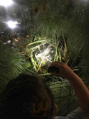 No Bosque Hamburgueria