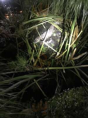 No Bosque Hamburgueria