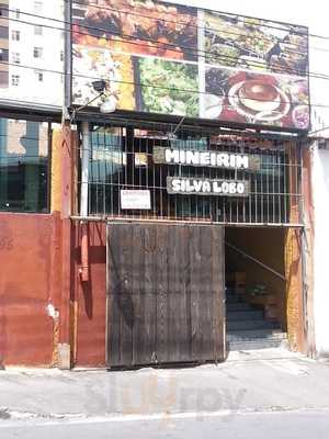 Mineirin Silva Lobo