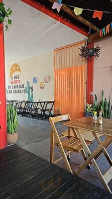 Continente Pernambucano