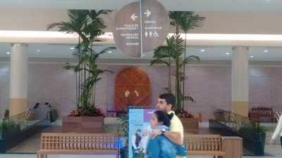 Panificadora Art E Trigo