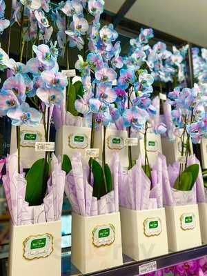 Sitio Verde Hortifruti - São José Dos Campos