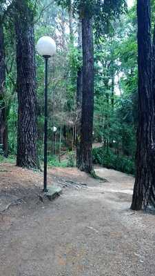 Maximo Bar E Emporio Me