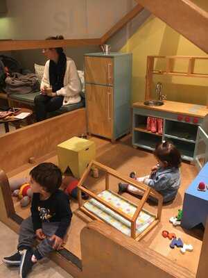 Caracóis E Caramujos