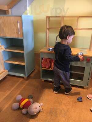 Caracóis E Caramujos