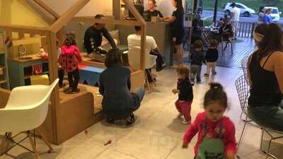 Caracóis E Caramujos