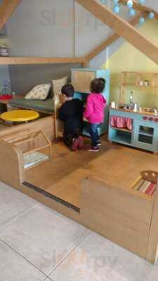 Caracóis E Caramujos