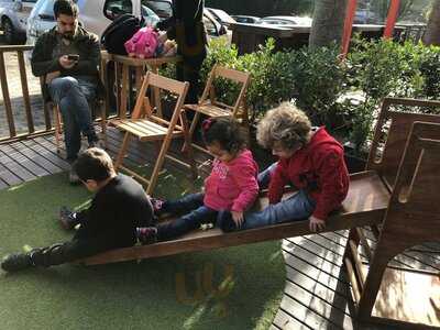 Caracóis E Caramujos