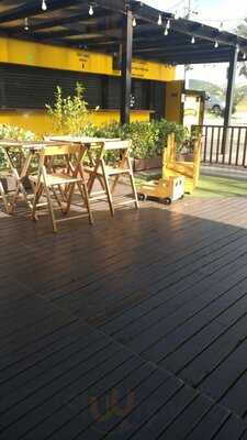 Caracóis E Caramujos