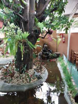 Restaurante Dona Preta