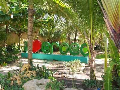 Bar E Restaurante Carlit's