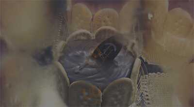 Panificadora E Confeitaria Aladim