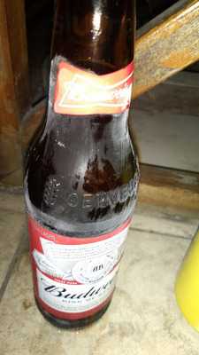 Bar E Lanches Su & Josy