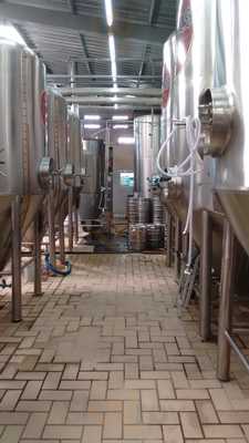 Xico Do Churrasco Savassi