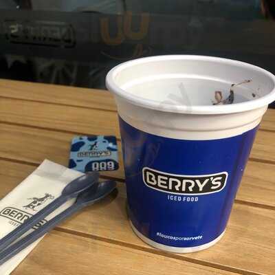 Sorvetes Berry's