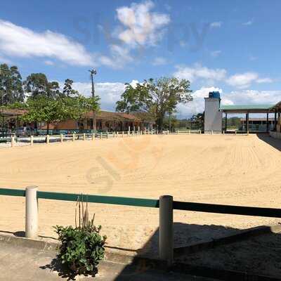 Amazona Buffet - Hipica