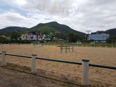 Amazona Buffet - Hipica