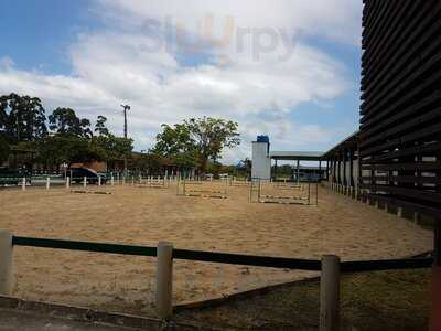 Amazona Buffet - Hipica