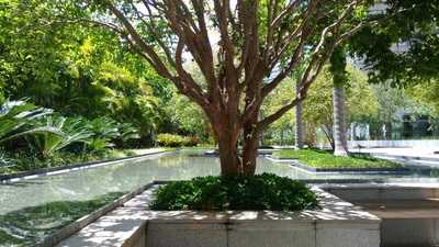 Paulista Grill Churrascaria E Pizzaria