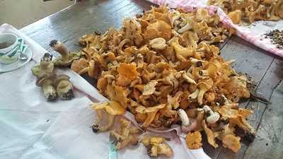 Bar Ristoranti G & A