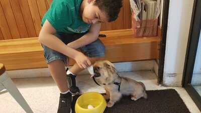 Le Botteghe Di Leonardo