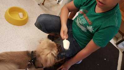 Le Botteghe Di Leonardo