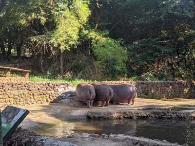 Restaurante Lago Das Rosas